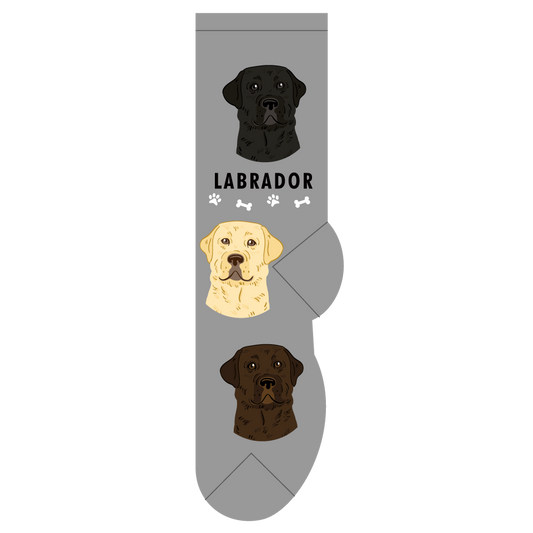 Labrador