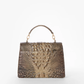 Brahmin Melbourne Collection Small Hallie Satchel, Brindle